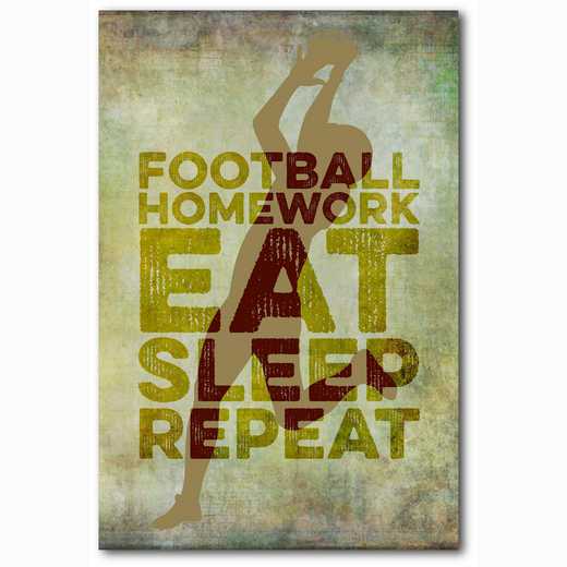 WEB-TS144-12X18: Eat Sleep Repeat Football, 12x18